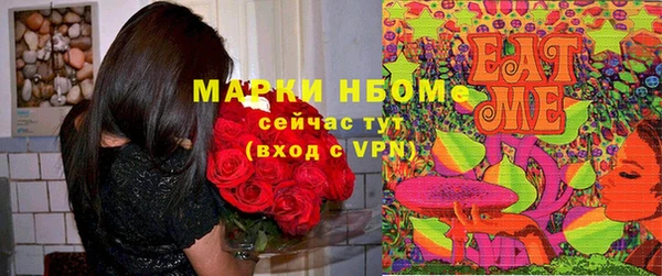 прущие грибы Беломорск