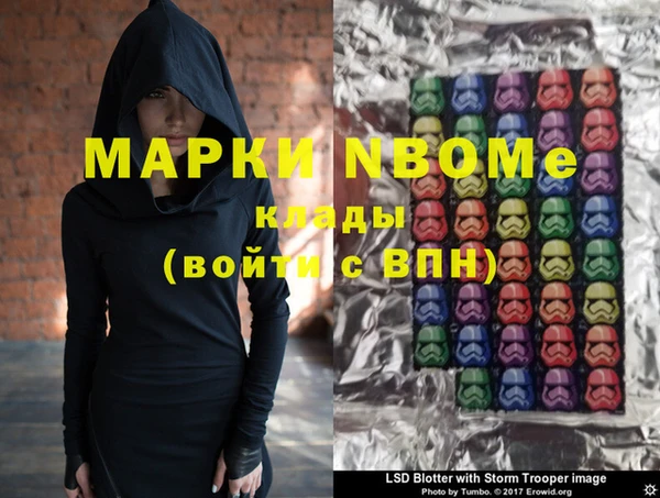 прущие грибы Беломорск