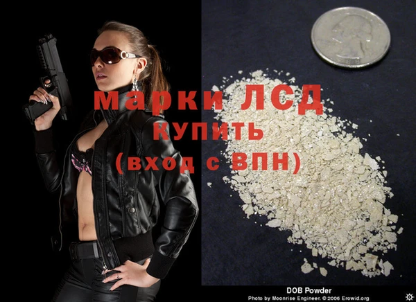 прущие грибы Беломорск