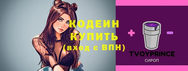прущие грибы Беломорск