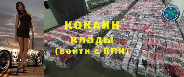 прущие грибы Беломорск