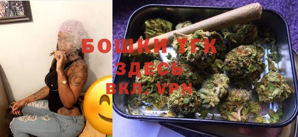 прущие грибы Беломорск