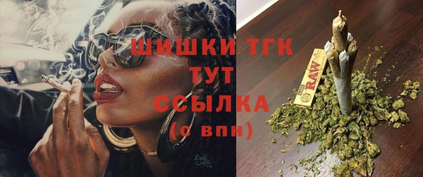 прущие грибы Беломорск