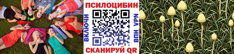 гидра ТОР  Кувшиново  Галлюциногенные грибы Psilocybine cubensis  купить наркотик 