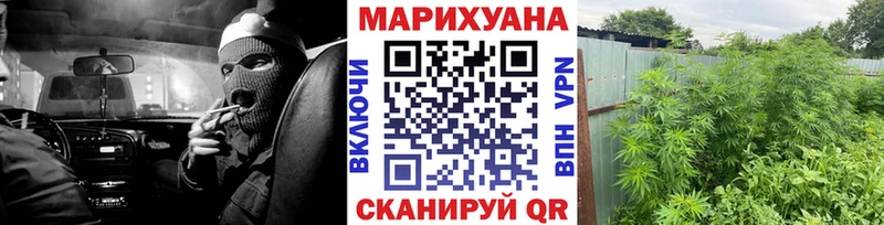 Каннабис план  ссылка на мегу ссылки  Кувшиново  где можно купить наркотик 